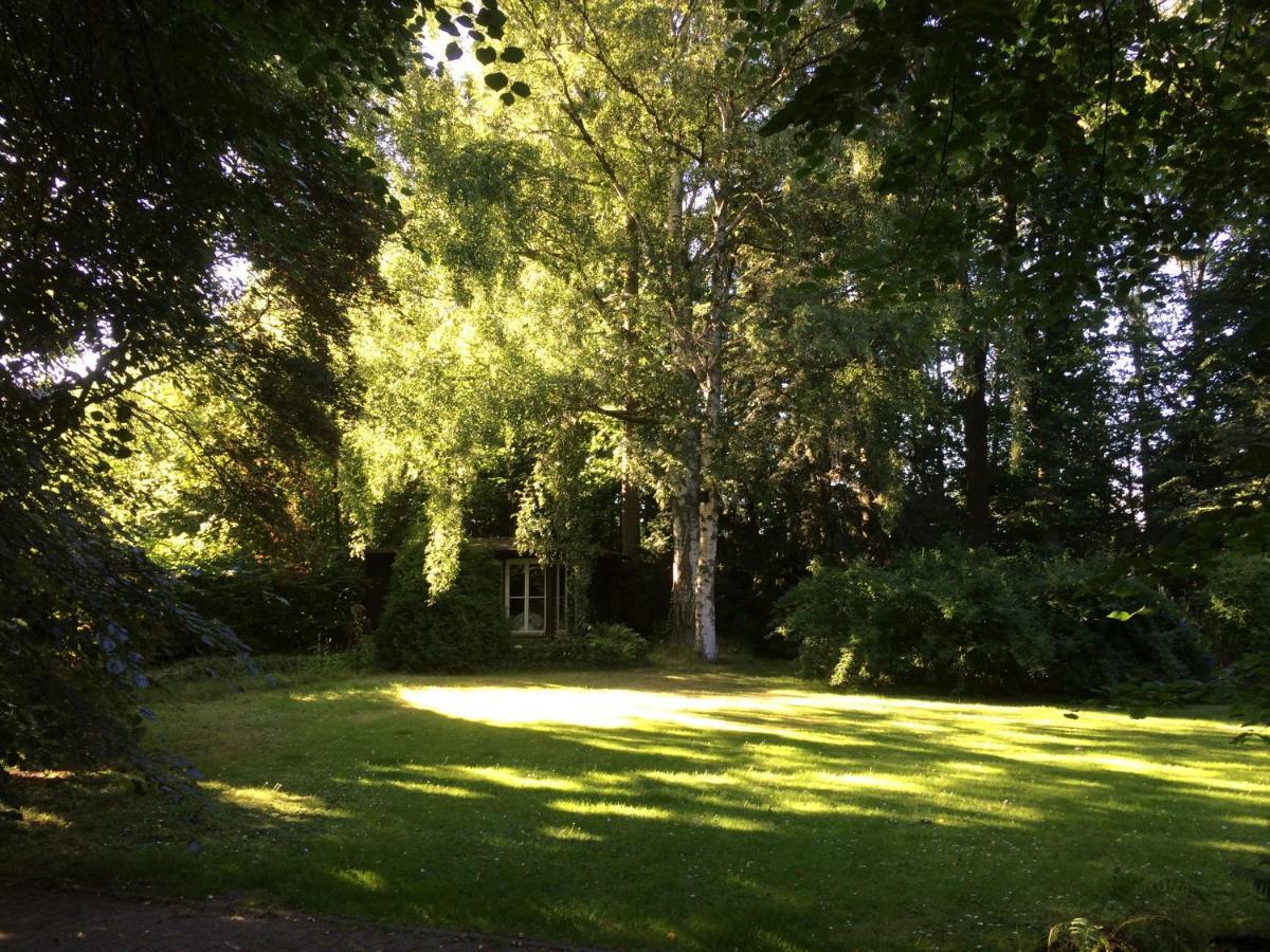 Bergmann Munchberg